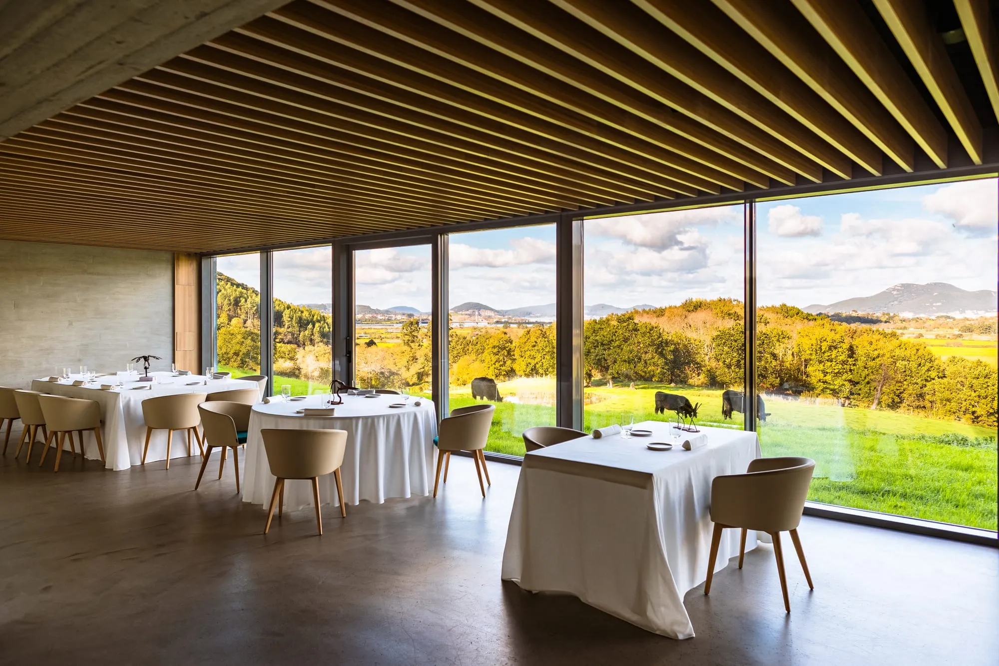 Comedor de Pico Velasco con mesas de mantel blanco y ventanales abiertos al valle