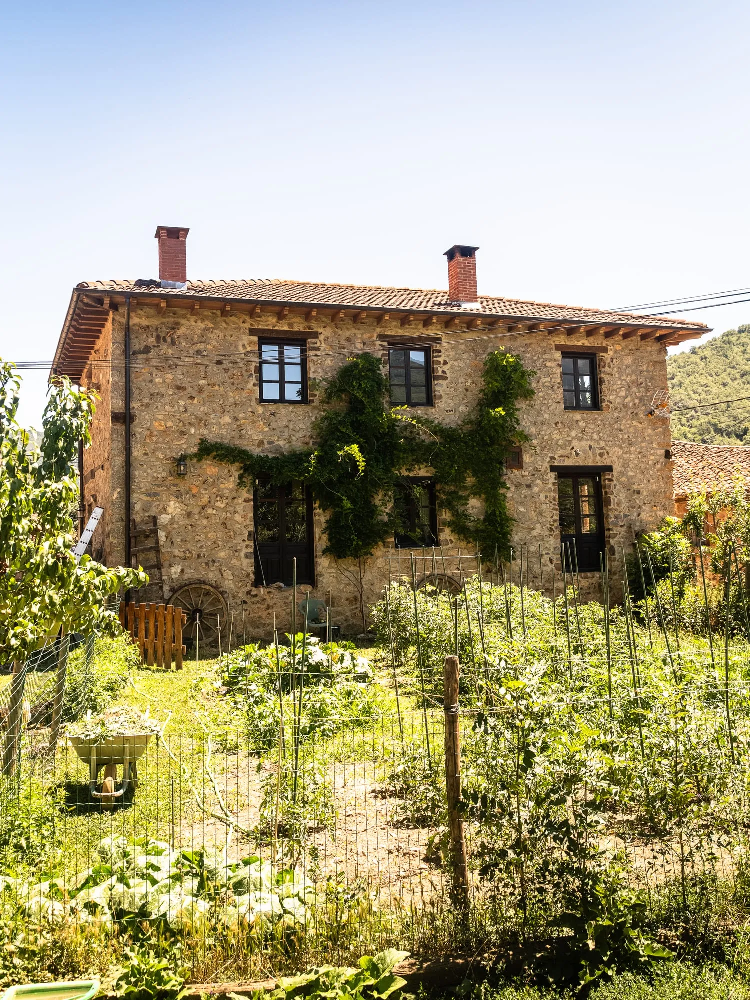 Casona de piedra con hiedra en la fachada y una huerta delante, en un pueblo de Liébana