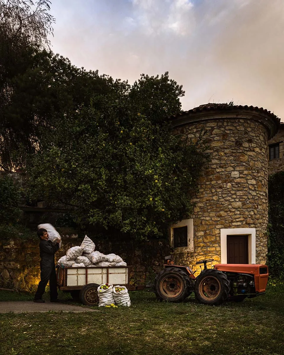 Hombre cargando sacos de manzanas en un remolque junto a un tractor y una torre de piedra al atardecer