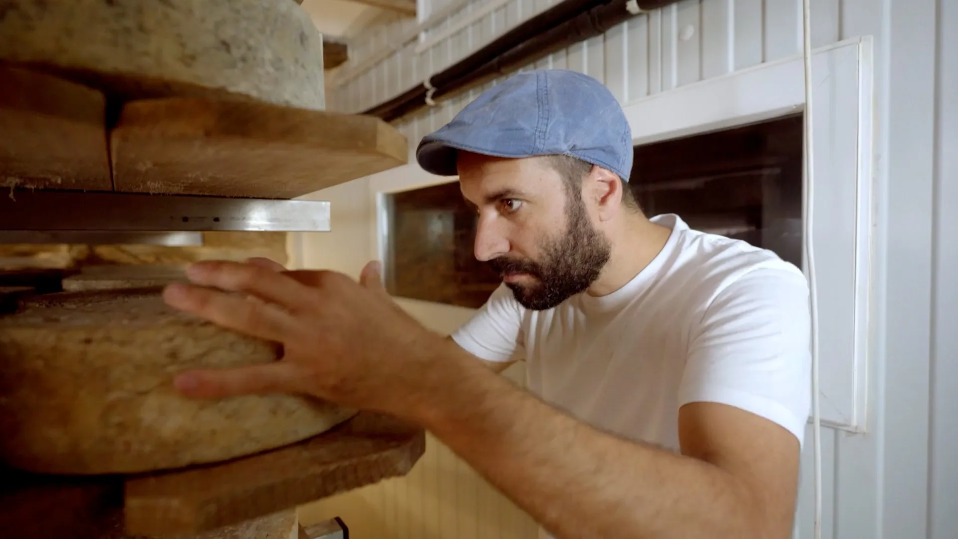 Un quesero coloca una pieza de queso curado en las baldas de madera