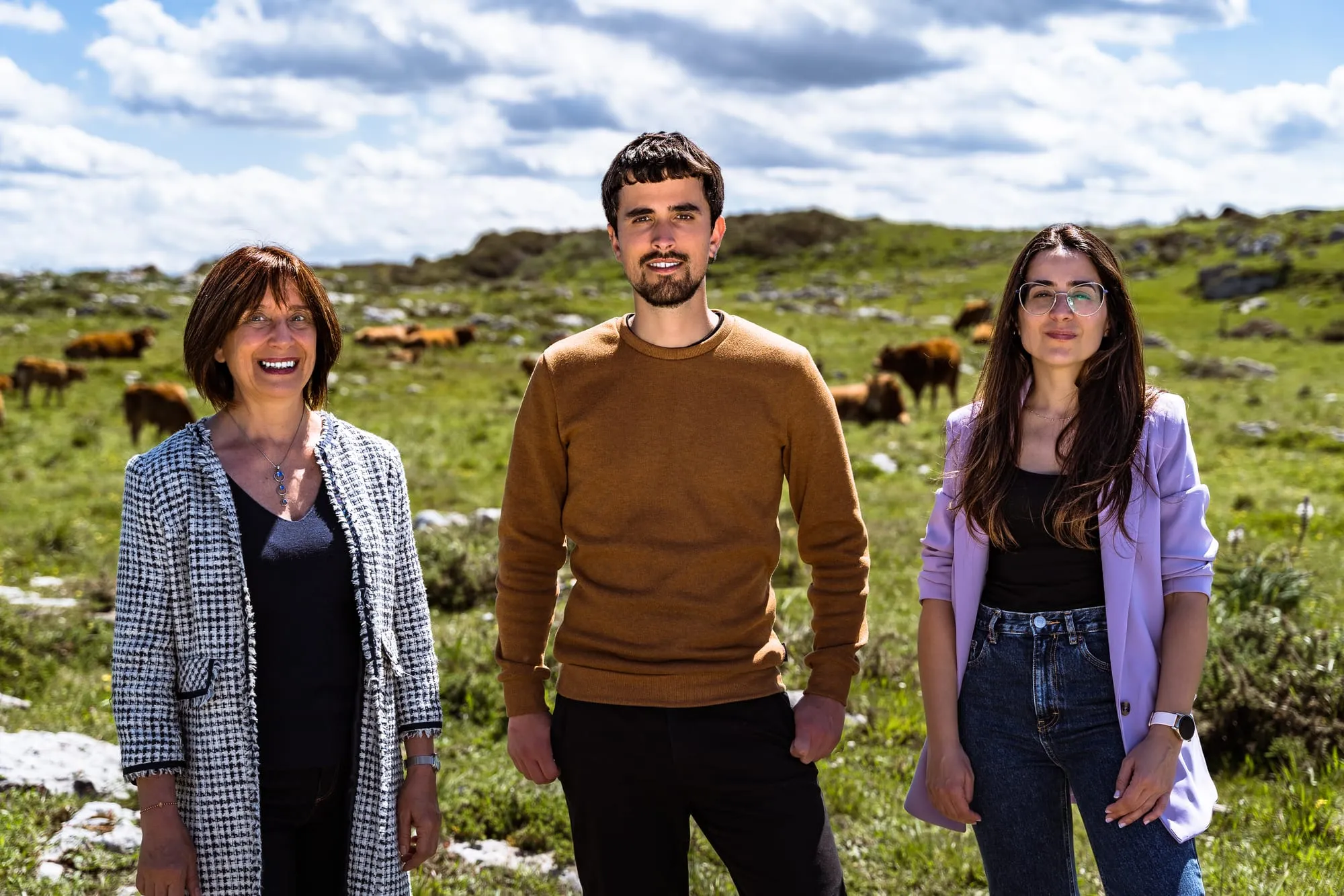 Los tres cabezas de lista de pie en un prado con vacas pastando detrás, a plena luz de primavera