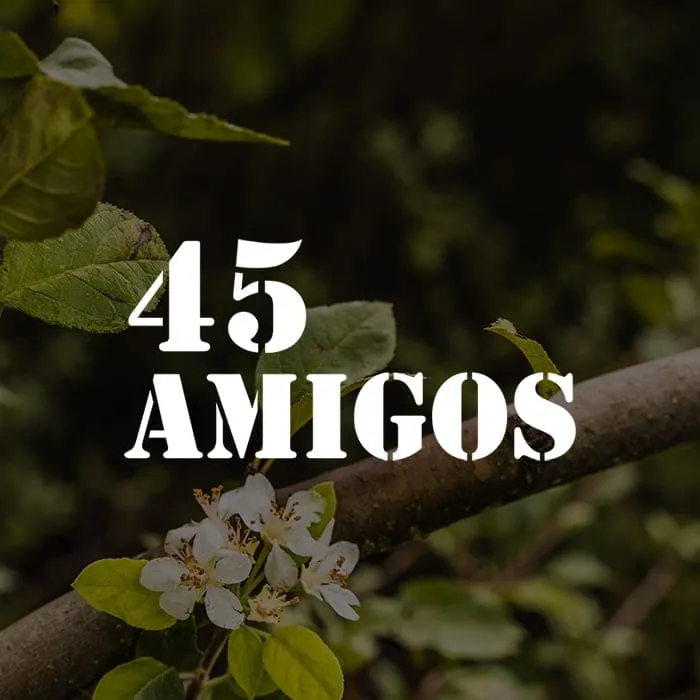 Logotipo de Sidra 45 Amigos sobre una rama de manzano en flor