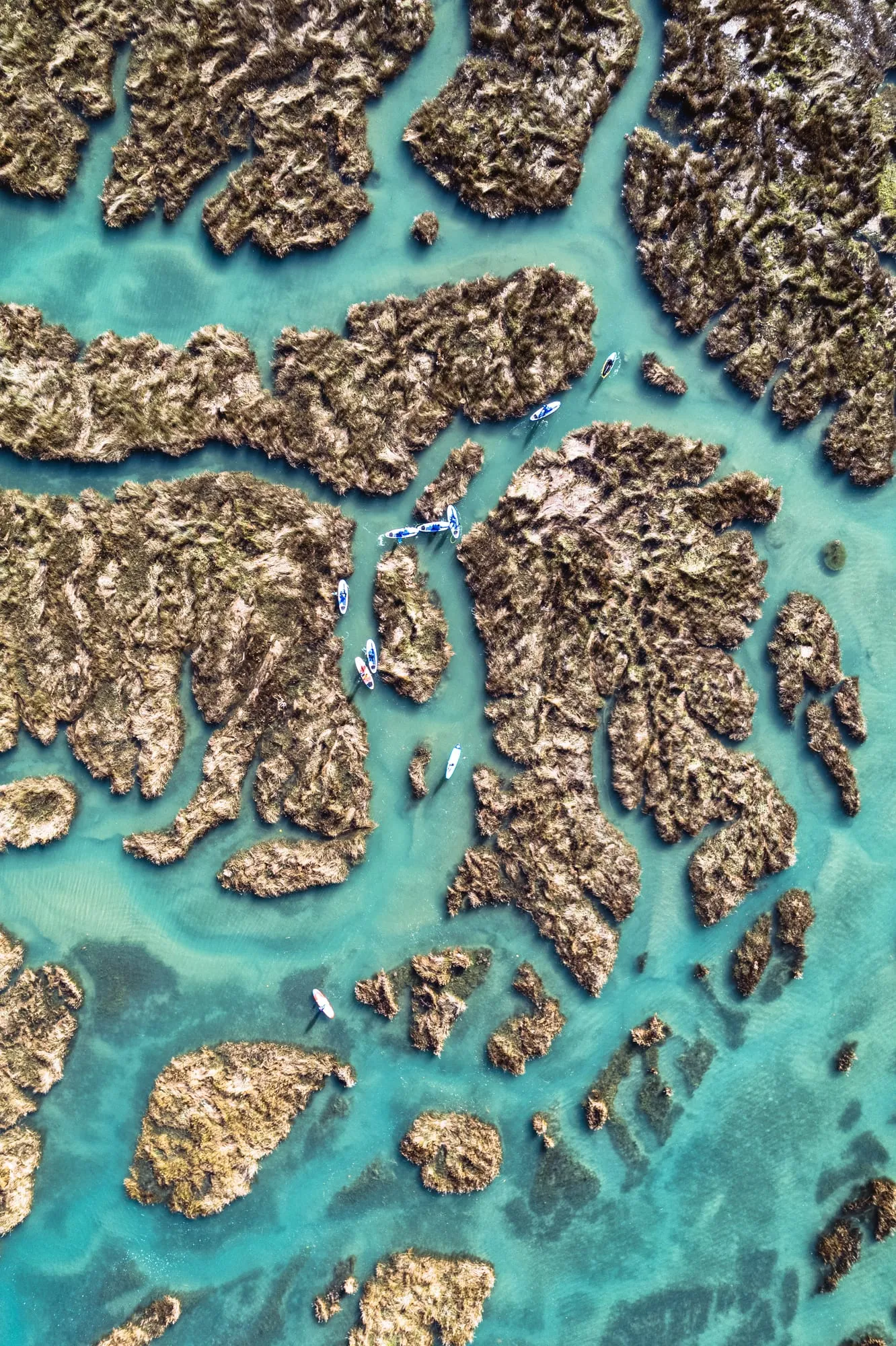 Canales turquesa de la marisma vistos desde el dron, con las tablas en fila india abriéndose paso entre las islas