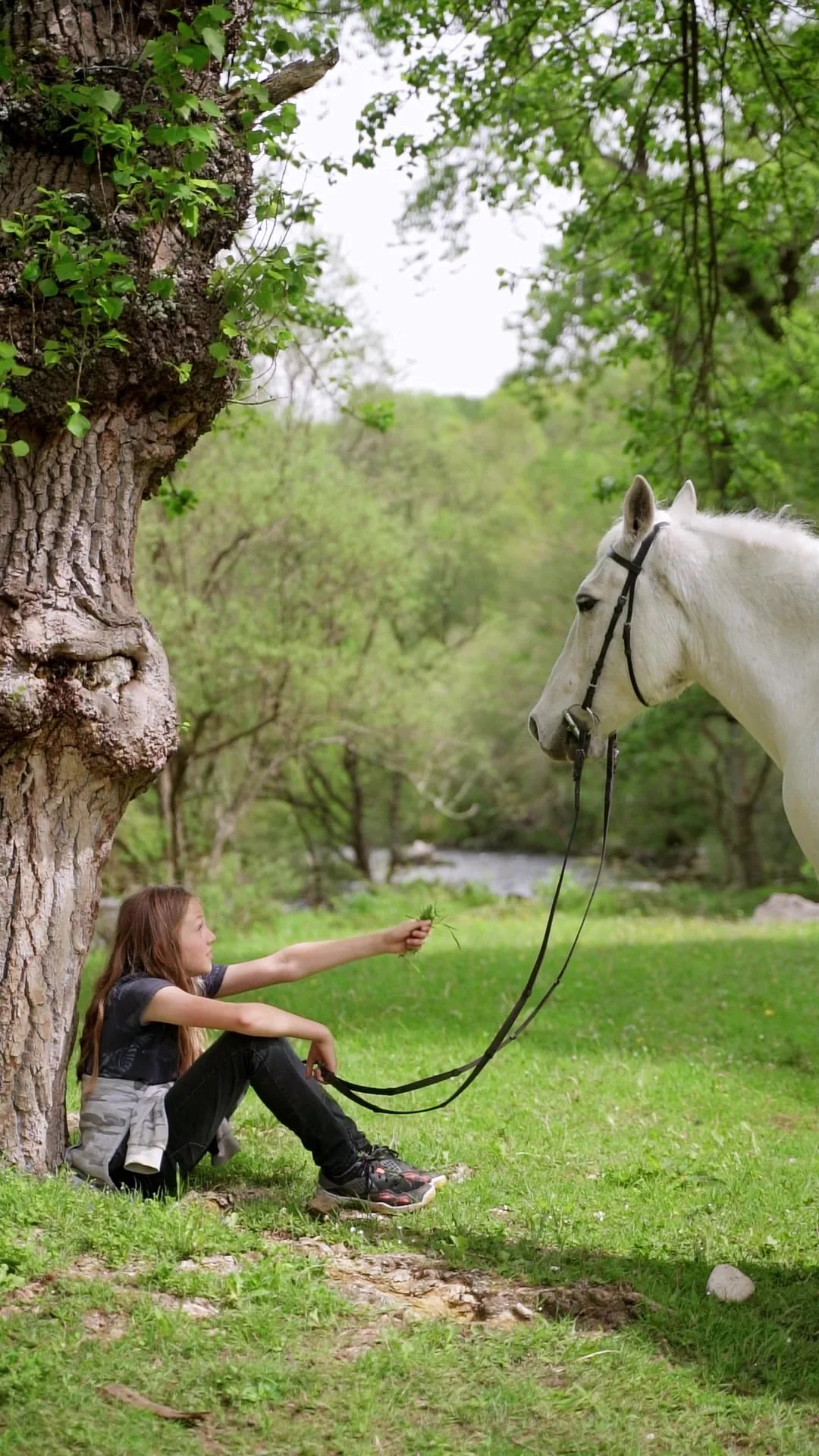 Una niña sentada bajo un árbol ofrece hierba a un caballo blanco junto al río