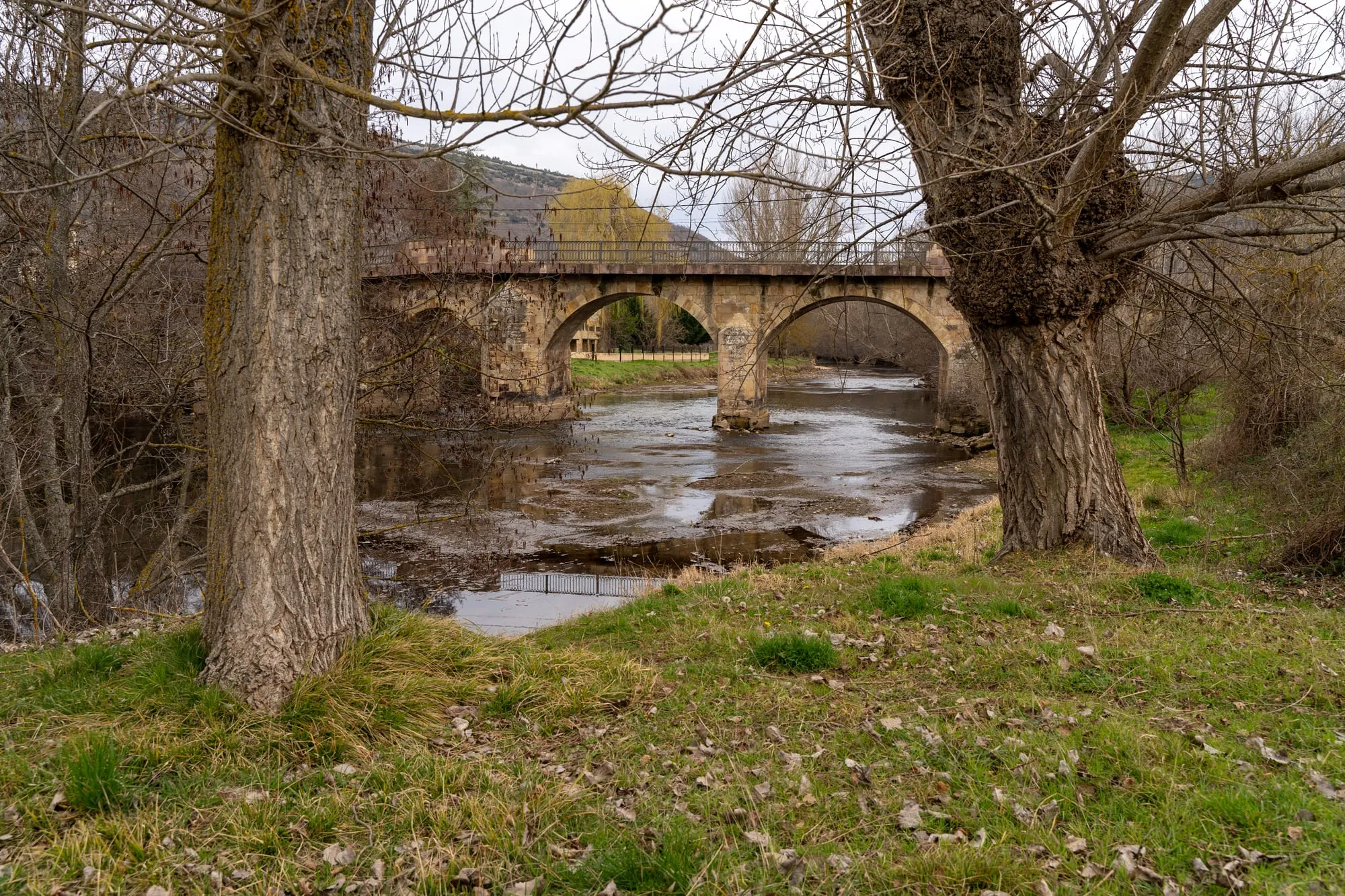 Puente de piedra de dos arcos sobre el Ebro entre chopos sin hoja, camino de San Martín de Elines