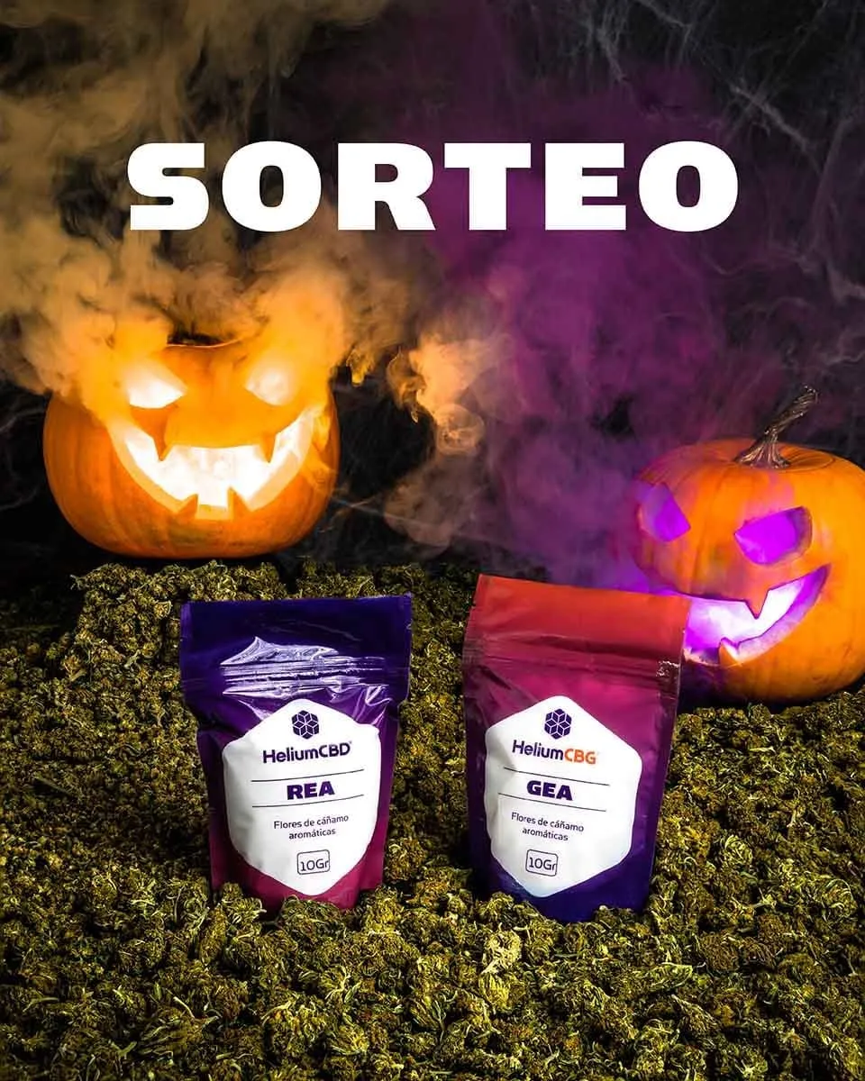 Creatividad del sorteo de Halloween: bolsas de flores REA y GEA entre calabazas iluminadas y humo sobre un lecho de cogollos