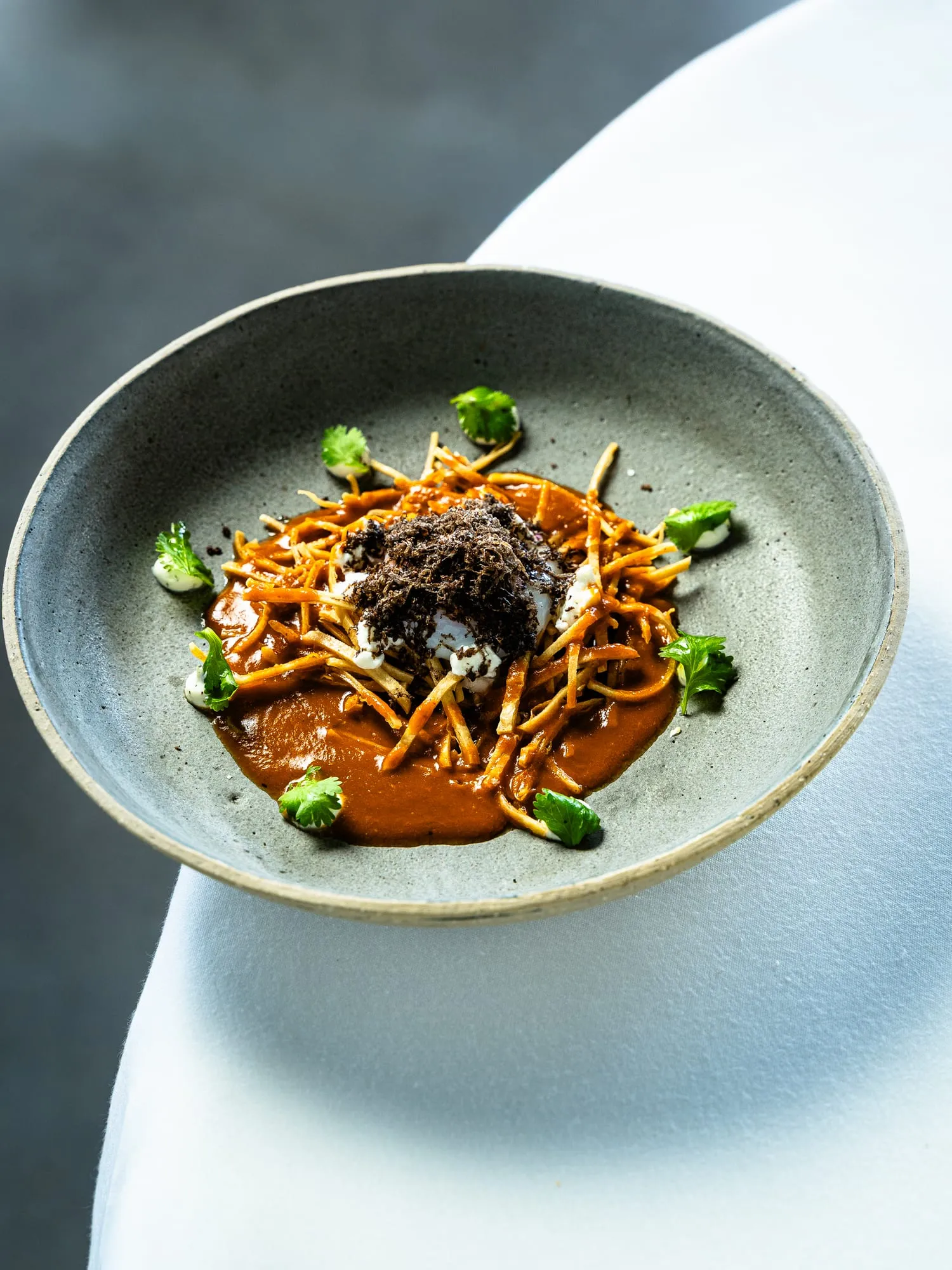 Plato hondo gris con salsa oscura, crujiente de tiras doradas, hierbas frescas y queso