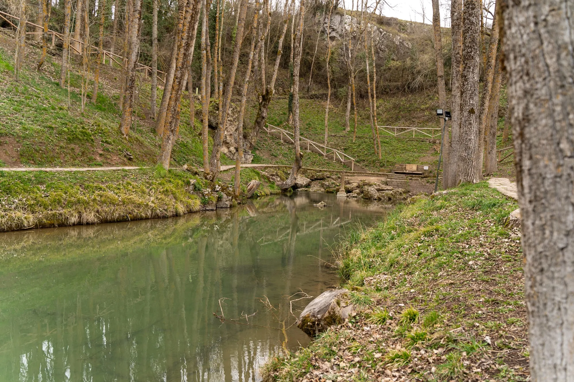 Poza verde del nacimiento del Ebro con el bosque y las barandillas de madera reflejados en el agua
