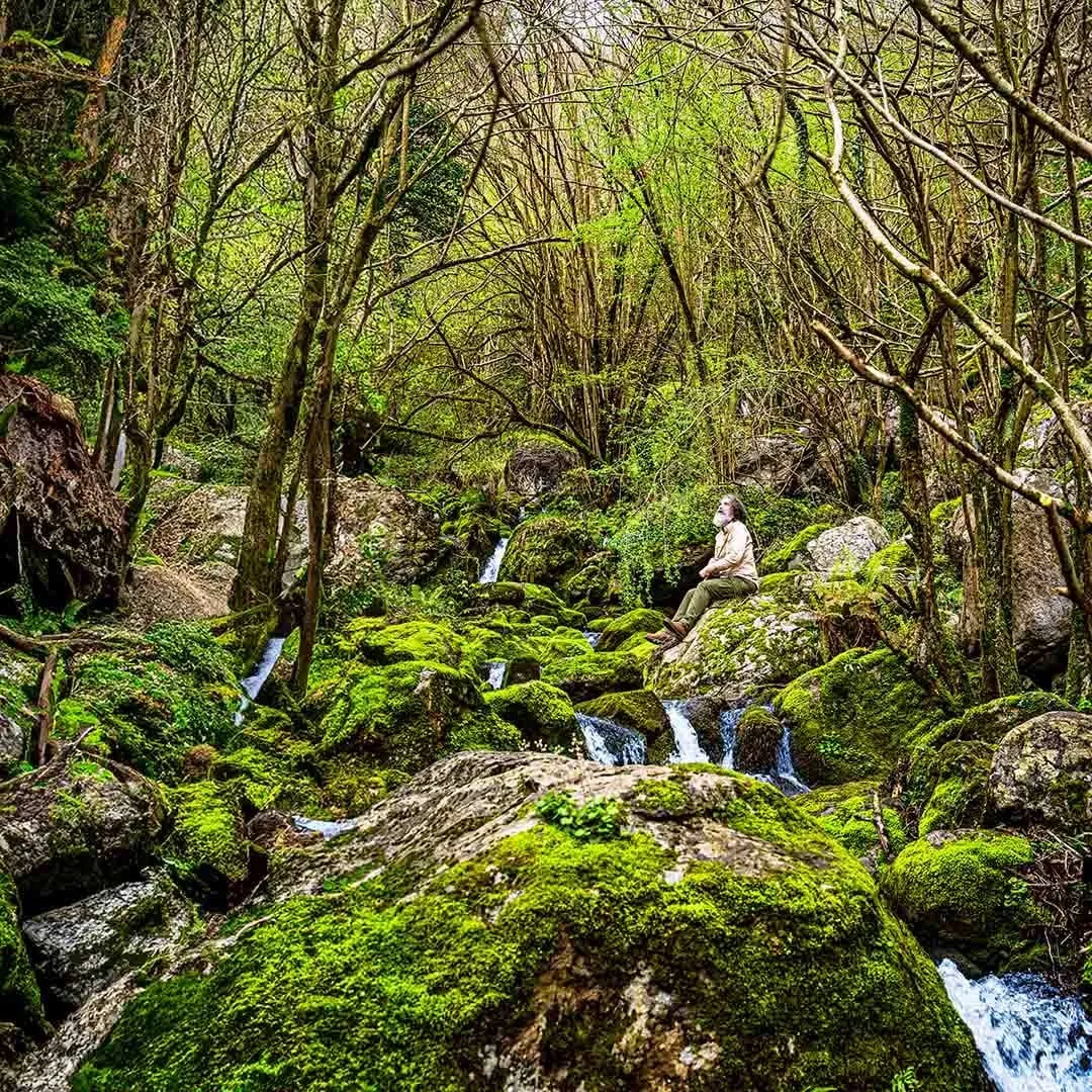 El protagonista sentado sobre rocas cubiertas de musgo junto a un arroyo del bosque